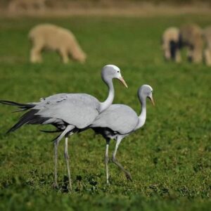 FB_IMG_1666095897284