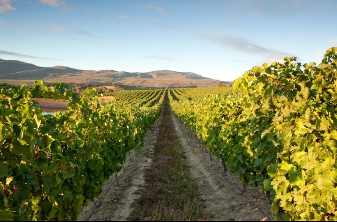 Screenshot_20230525_130644_Google